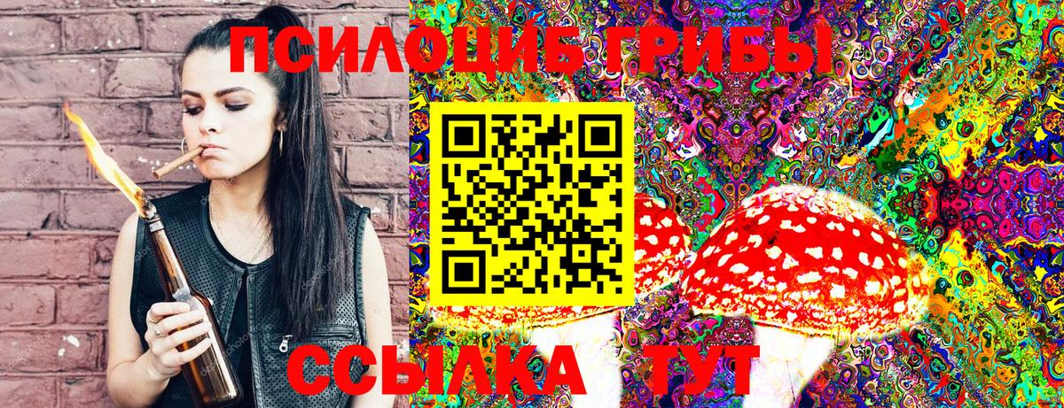 Галлюциногенные грибы Psilocybine cubensis  Вход с VPN  Кириши 