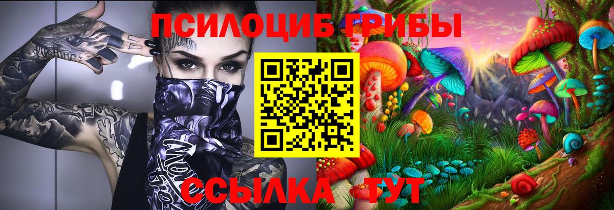 Галлюциногенные грибы Cubensis Кириши